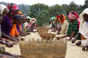 women handling coffee